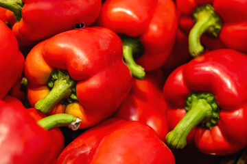 A colorful bunch of bright red peppers featuring green stems