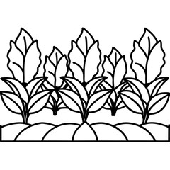Row of Veggie Plants line art vector
