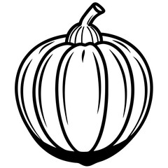 Stylized Acorn Squash Vector Illustration