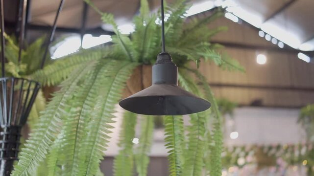 aesthetically pleasing chandelier decoration in a room