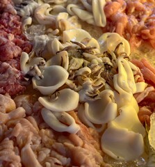 Fresh Seafood Selection of Squid, Octopus, and Other Assorted Delicacies on a Market Stall