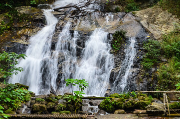 Fototapeta premium Beautiful Small Waterfall in summer Forest in jungle at Doi Saket Distric, Chiang Mai, Thailand