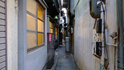 Narrow Alley in Miyajima, Hiroshima / 宮島の路地裏