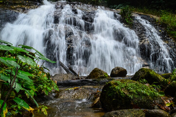 Fototapeta premium Beautiful Small Waterfall in summer Forest in jungle at Doi Saket Distric, Chiang Mai, Thailand