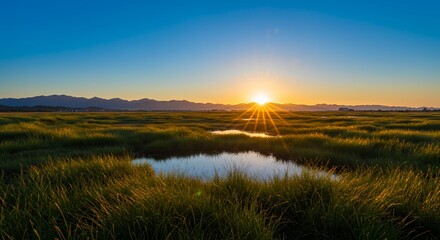 Obraz premium Golden Hour Light over Tall Grass Marshy Plain and Distant Mountains with Vibrant Blue Sky in a Summer Day