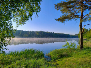 Słoneczny poranek nad jeziorem. Niebo jest bezchmurne, odbija się ono w idealnie gładkiej tafli jeziora. Na brzegu rośnie las. Nisko nad jeziorem unosi się opar mgły.