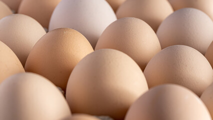 Brown eggs stacked in rows.Group of Fresh white Eggs in a cardboard cassette. Organic food from nature good for health.