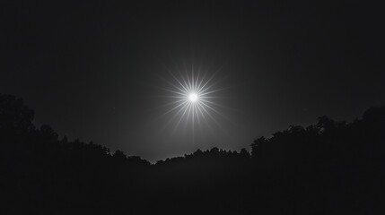 Naklejka premium A Full Moon Shining Over Trees