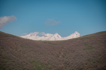 mount hood in the mountains