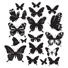 set of black various butterfly vector silhouettes isolated on white background