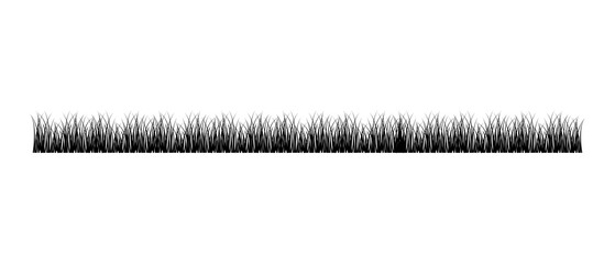 Grass silhouette icon set. Green grass meadow border. Spring summer plant field lawn. Reed, cattail, hornwort. Nature lush landscape background Horizontal contour