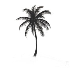 Obraz premium Palm tree scenic illustration artwork isolated on transparent background