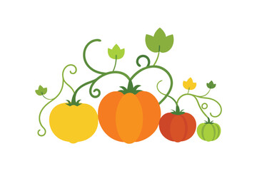 vector illustration of pumpkin