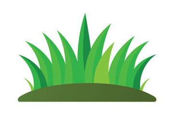 Cartoon Grass Vector Illustration on White Background