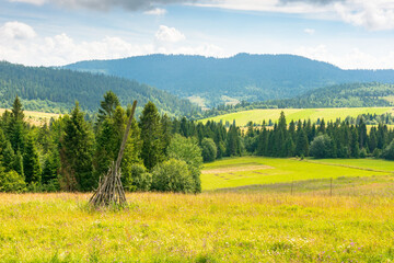 carpathian mountain landscape with cloudy sky in summer. beautiful outdoor scenery in the valley. wonderful rural area on a sunny day