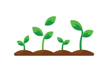 young plant growing from soil