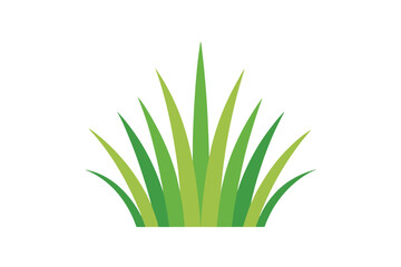 green grass isolated on white