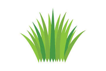 green grass isolated on white