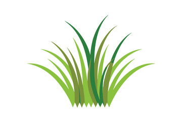 green grass isolated on white