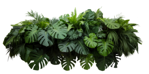 tropical greenery arrangement on white background