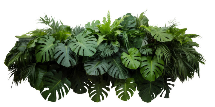 tropical greenery arrangement on white background