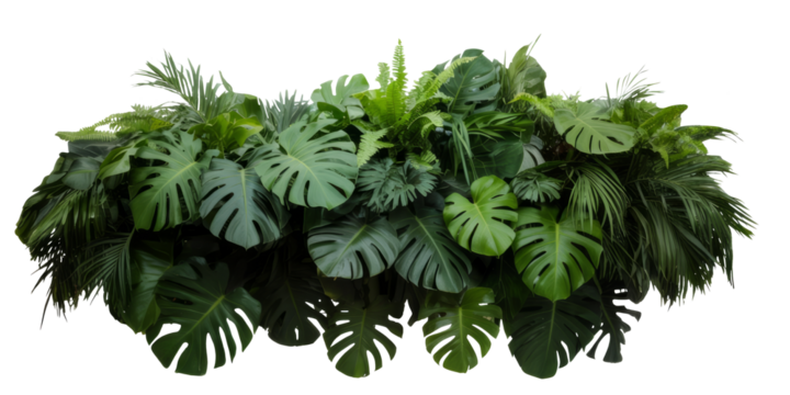tropical greenery arrangement on white background