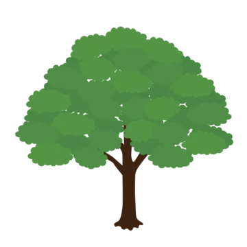 360_F_1473749947_353UARyChXkeA