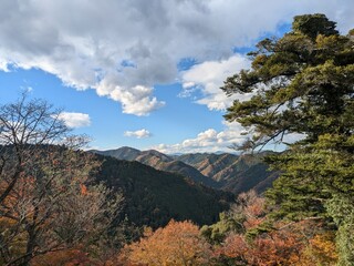 秋の山