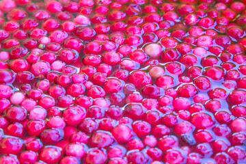 texture with fresh cranberry in the water