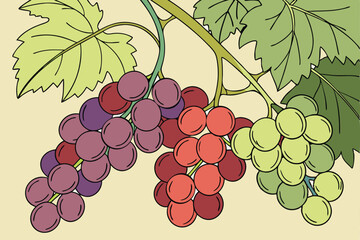 fresh_produce,colorful_grapes,vibrant_colors,bunch_of_grapes,variety_of_grapes,green_leaves,healthy_food,natural_lighting,high_quality_image,detailed_texture