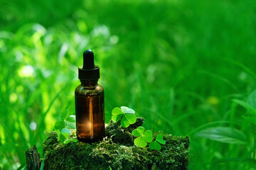 amber glass Bottle of herbal essence extract and oxalis leaves in forest close up, nature background. eco friendly care organic product. beauty treatment, Spa, Cosmetic product concept