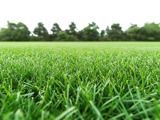 Obraz premium A lush green golf course fairway isolated. transparent PNG