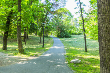 Peaceful walking path curving gently through vibrant summer greenery park, bordered by mature trees casting dappled shadows.
