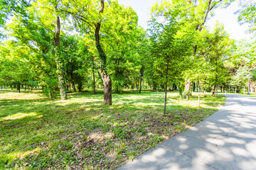 Peaceful walking path curving gently through vibrant summer greenery park, bordered by mature trees casting dappled shadows.