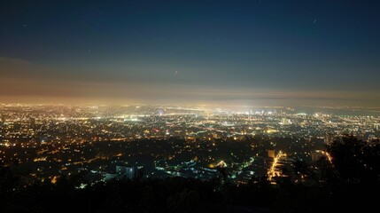 Fototapeta premium Night view of a sprawling metropolis from an elevated perspective.