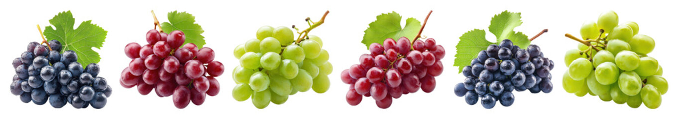 PNG Colorful grapes variety illustration, transparent background