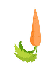 Veggie alphabet, English letter A made from fresh vegetables. Carrot. Decoration concept for books, menus or shops. Vegetable lettering design on white background