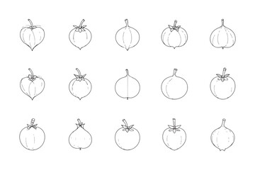 Rose apple minimal fruit icon