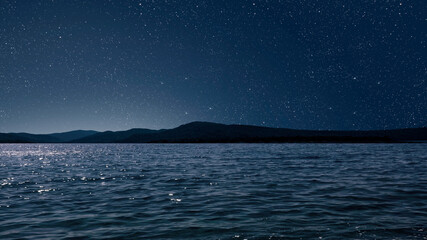 a a movement of stars in the night sky with the view of mountains.