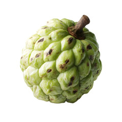 Fototapeta premium Closeup view of a fresh ripe cherimoya fruit isolated on food life diet on transparent background