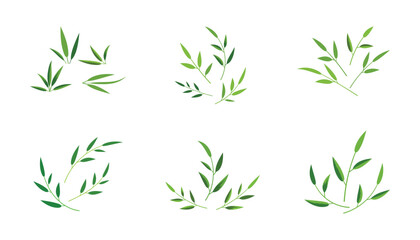 collection of fresh green leaves in branch form, vector natural leave elements
