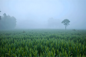 Layered mountains and misty rice paddies In style of dramatic compression photography For meditative visuals and scenic editorial use Telephoto depth and natural atmospheric gradient in layers