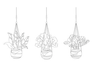 Hand drawn vector illustration. Linear image of kokedama. Cute coloring page for gardeners. Growing a plant without a pot in the Japanese way.