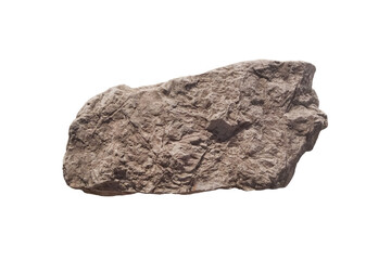 Fragment of Protopteridium minutum fossil plant stone isolated on white background.      