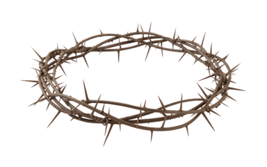 Detailed depiction of a crown of thorns symbolizing the passion and crucifixion of jesus.