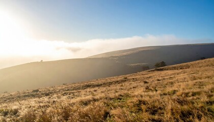 Fototapeta premium Golden sunrise over rolling hills nature landscape photography tranquil environment captivating viewpoint