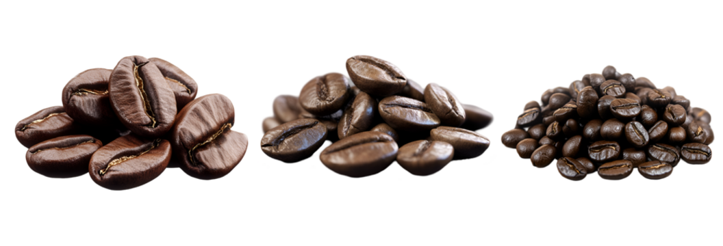 pine cone isolated on white