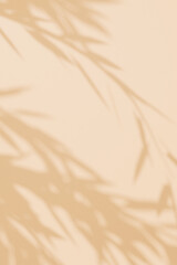 Abstract beige studio background for product presentation. An empty room with shadows from tree leaves. 3D room with space for copying. The concept of summer and spring. Vertical background.