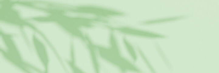 Obraz premium Abstract green studio background for product presentation. Green empty room with shadows from tree leaves. 3D room with space for copying. The concept of summer and spring. Spring banner. 