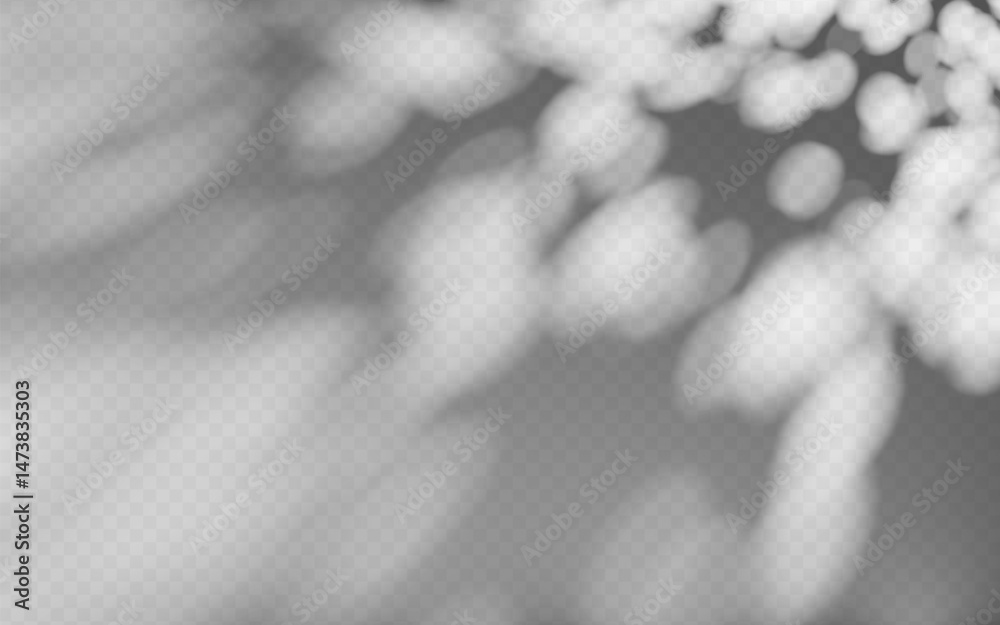 Wall mural abstract shadow overlay from tree branch on a transparent background.